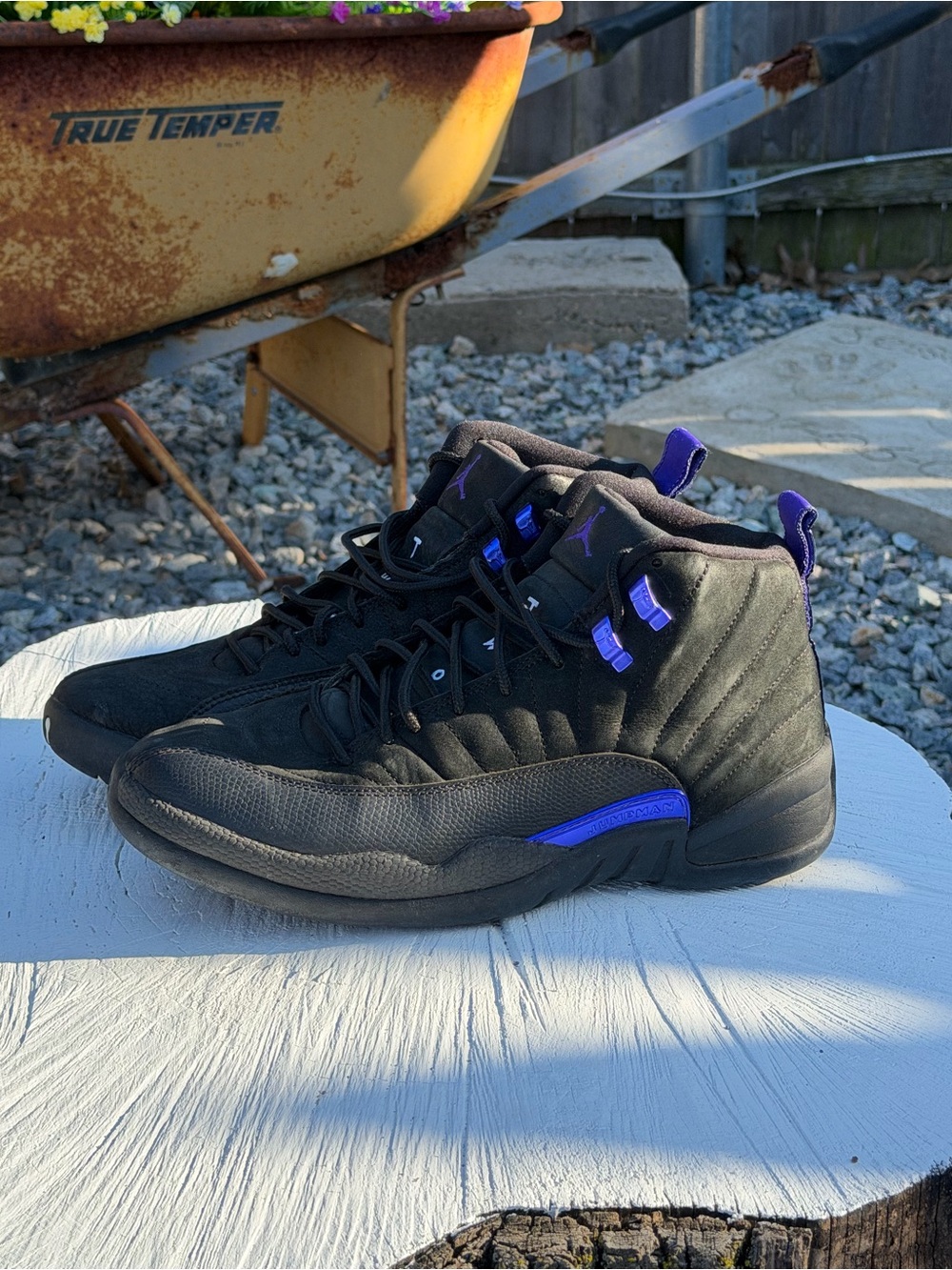 Air Jordan 12 Dark Concord